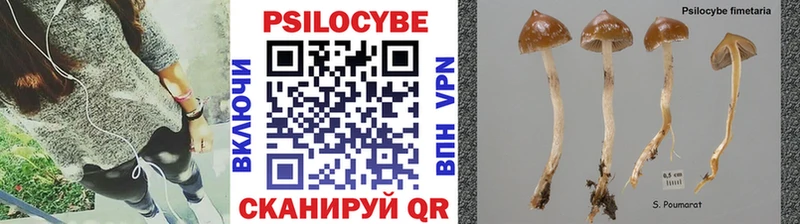 Псилоцибиновые грибы Magic Shrooms  магазин продажи   Избербаш 